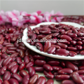 Hot sale quality Natural Brown English red kidney bean with Best qualtiy